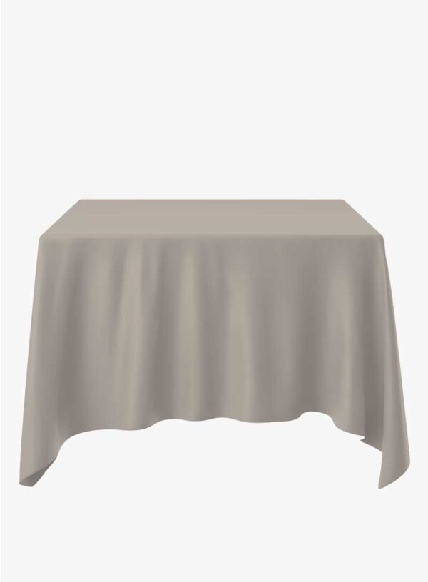 polyester_tischdecke_cappuchino_mieten_koblenz_410x250cm_eckig_800x1088px